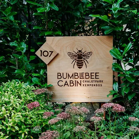 Bumblebee Diessen