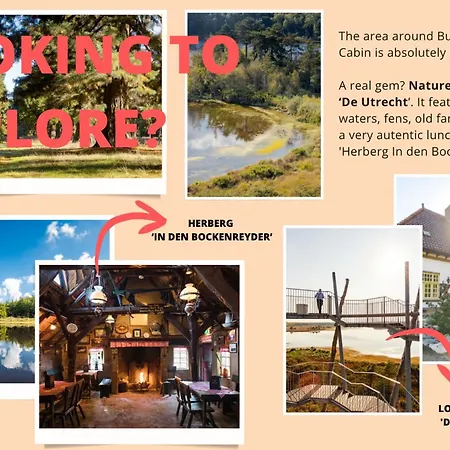 Bumblebee Casa de Férias *