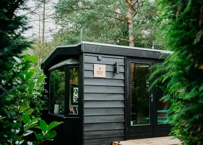 Bumblebee Hébergement de vacances