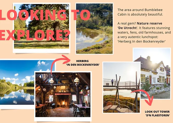 Bumblebee Casa de Férias *