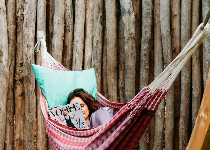 Bumblebee Hébergement de vacances