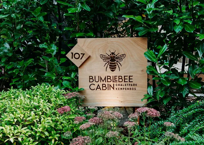 Bumblebee Met Prive Sauna & Vuurplaats Diessen